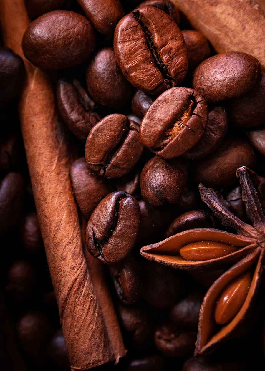 Roasted coffee beans with cinnamon and star anise